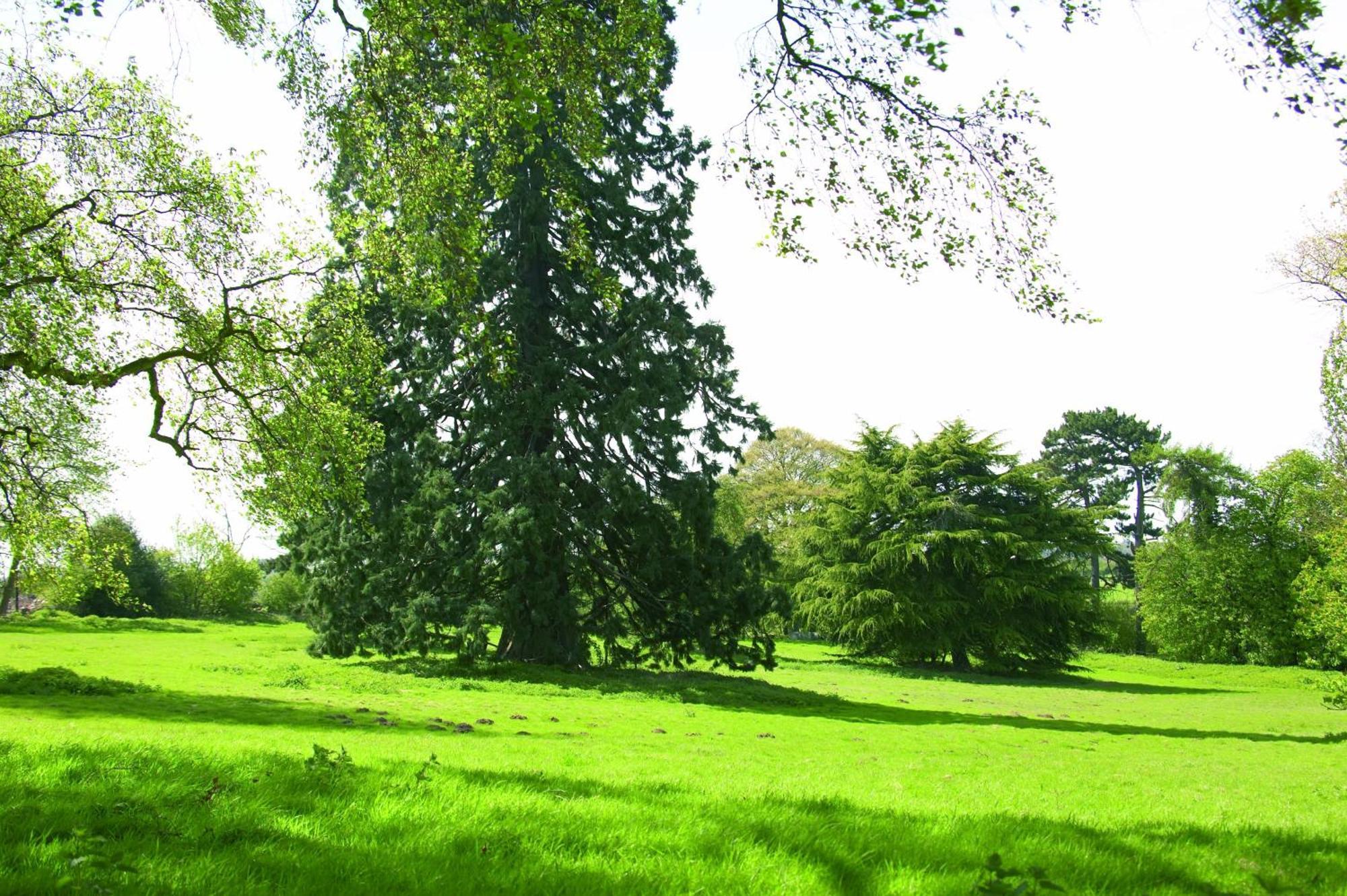 Woodland Grange Otel Lillington  Dış mekan fotoğraf